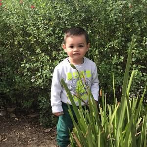 Meet your Posher, Nyka